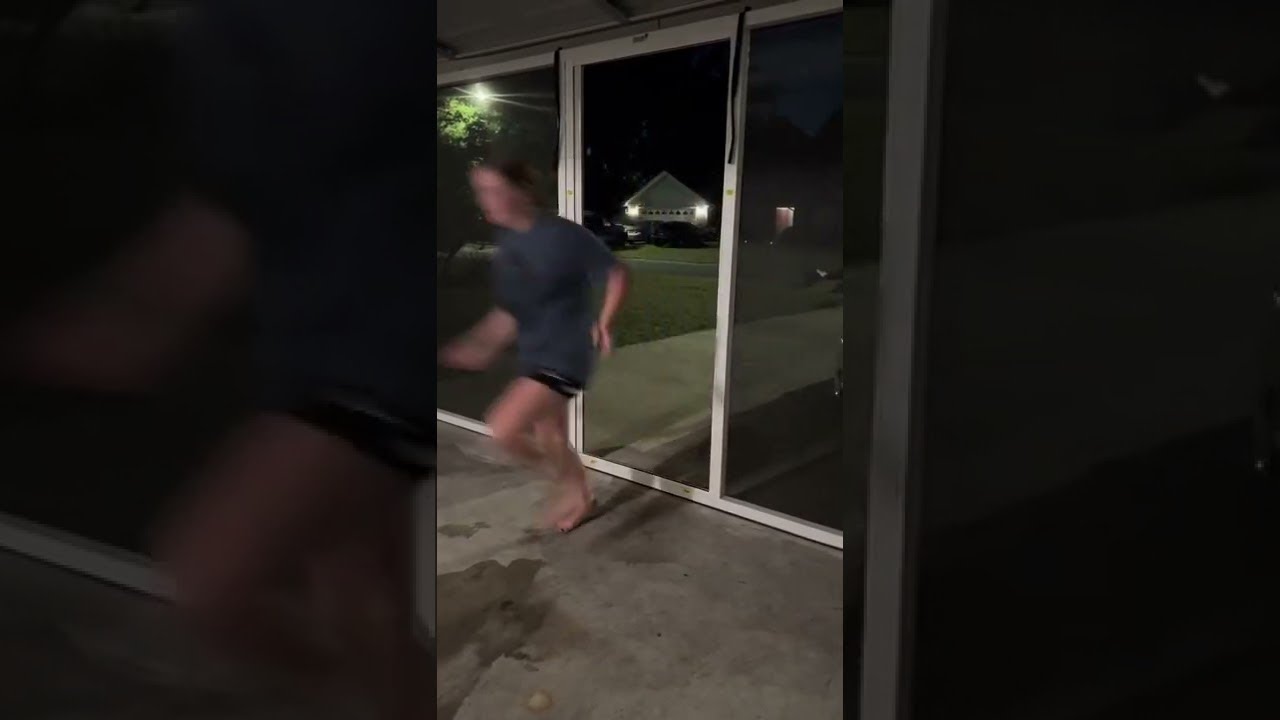 Gypsy the Dog Runs into Garage Screen Instead of Open Door || ViralHog
