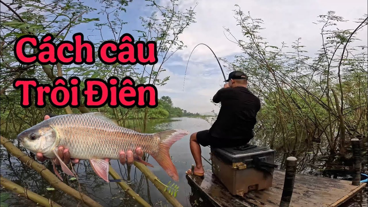 Cách Câu Cá Trôi Đỏ Trong Hồ Siêu Nhiều Cá Con