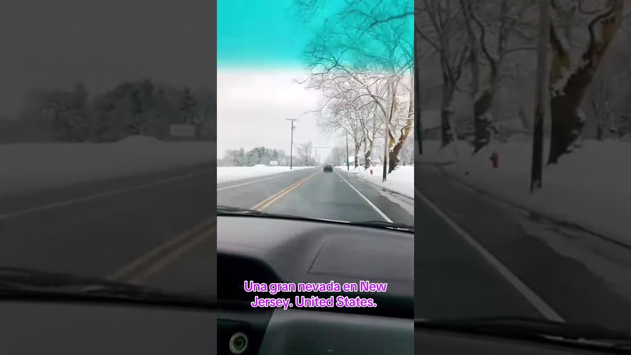 Una gran nevada en New Jersey. United States. 24 de enero de 2026. Video 2.