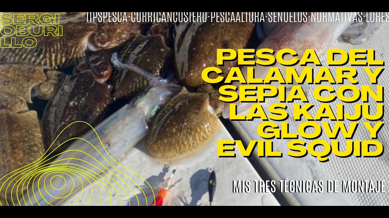 Tres técnicas de pesca para el calamar y sepia.