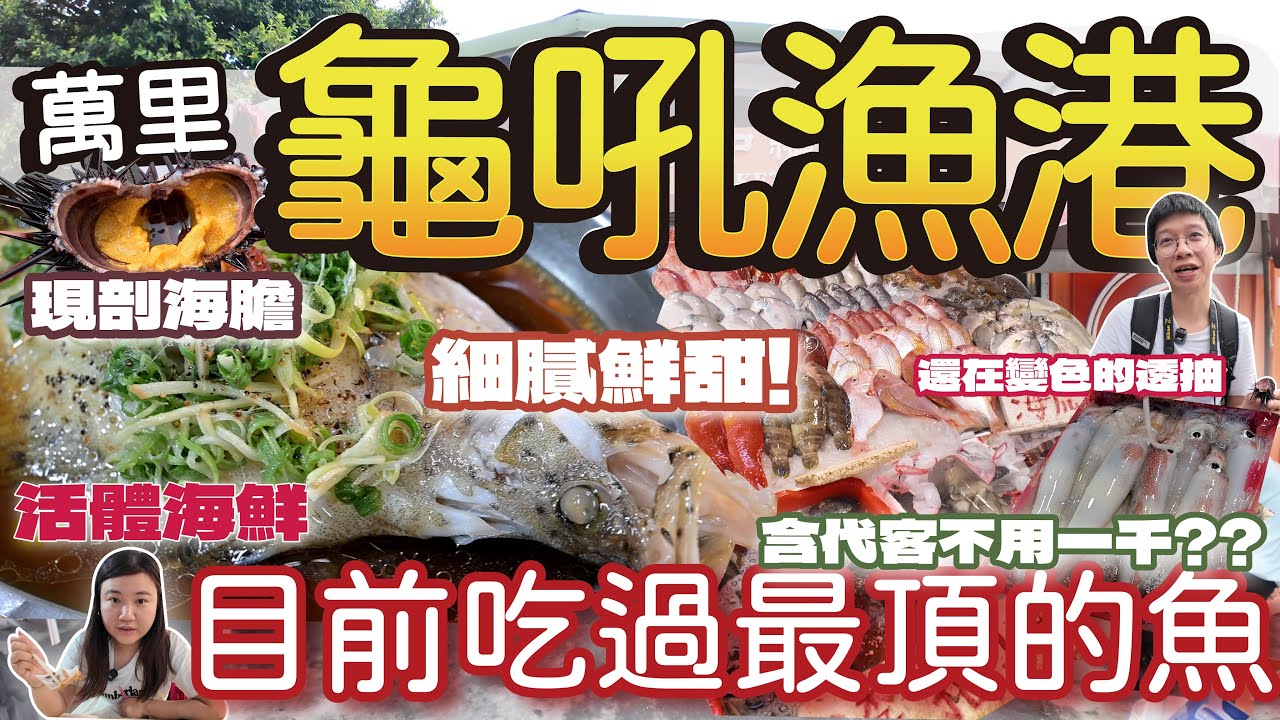 【漁港美食】來新北萬里龜吼漁港吃海鮮囉!還在變色的透抽在嘴裡直接打乒乓球! 目前吃到最頂的石斑魚 此生必吃的老鼠斑含代客不用一千元 | 活體海鮮看不完 價格貴還是便宜?   