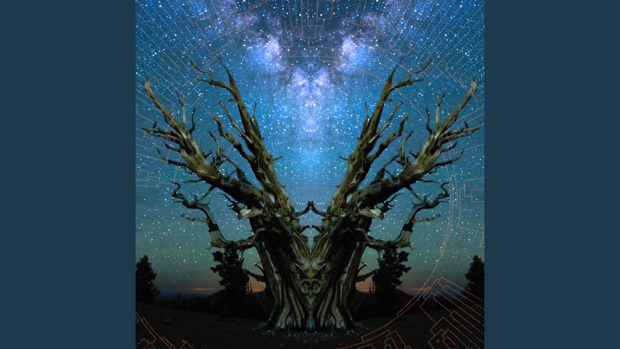 Rings of Life