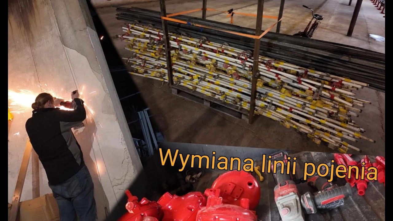 Wymiana linii pojenia