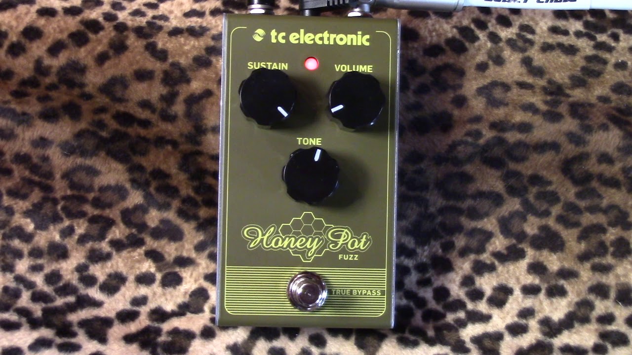 Демонстрация педали Fuzz TC Electronic HONEY POT с гитарой Les Paul.