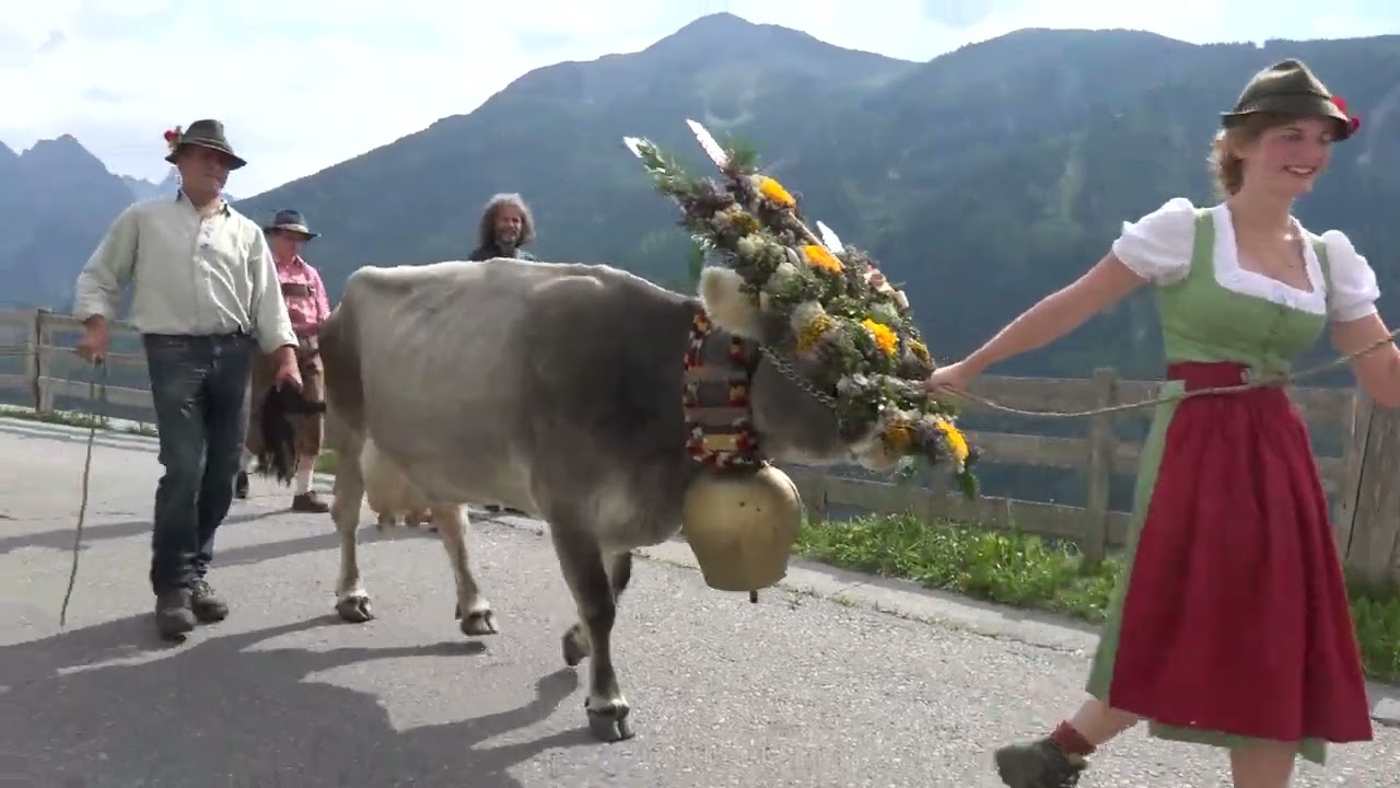 Almabtrieb vom Kaunerberg 2016