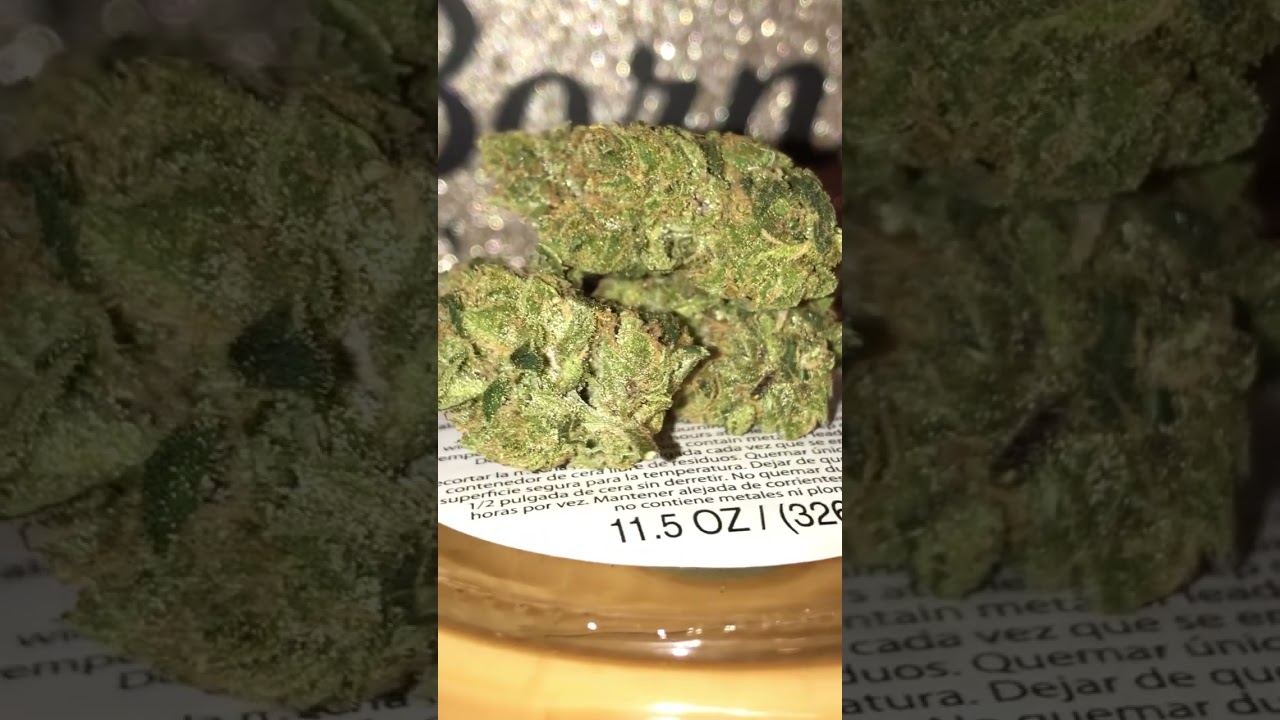 Top Colas Blunicorn Bullet