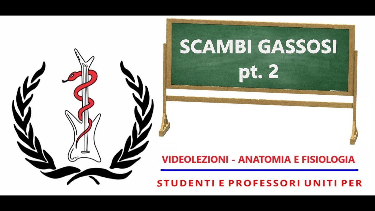 Anatomia e Fisiologia   Fisiologia degli scambi gassosi pt.  2