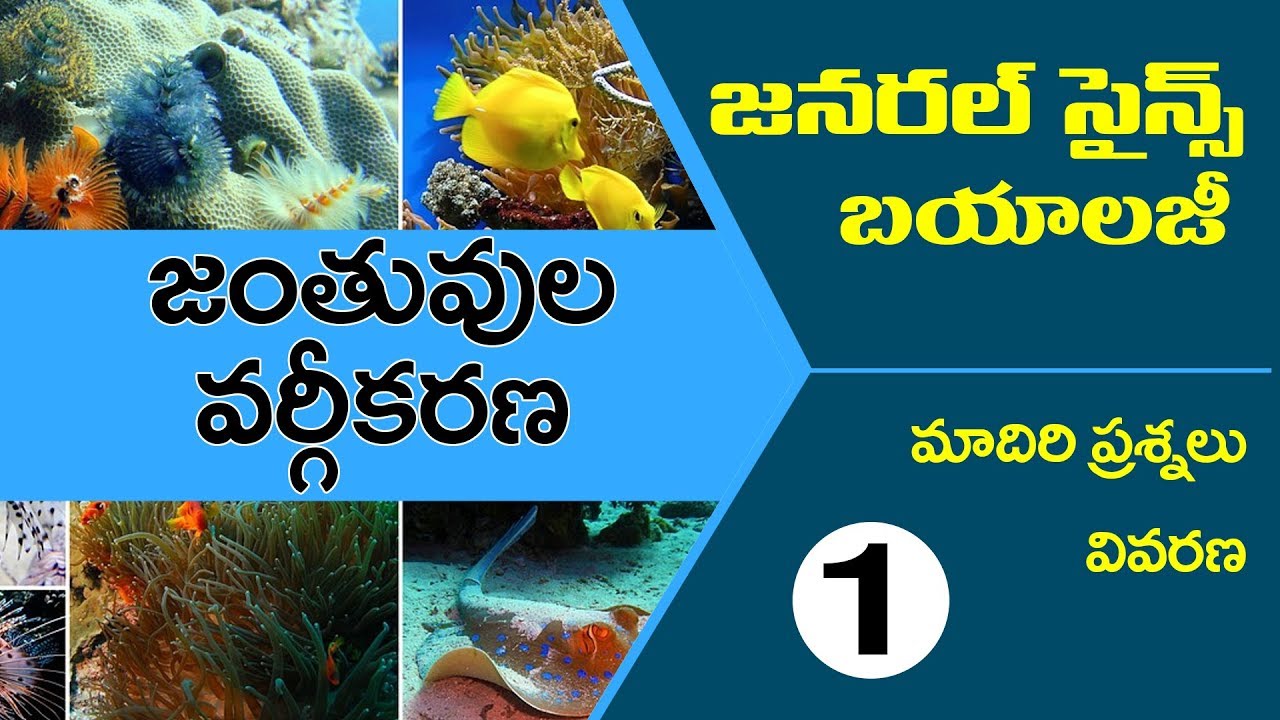 Classification of animals in telugu #జనరల్ సైన్స్ బయాలజీ ప్రాక్టీస్ బిట్స్ for RRB,PC,SI all exams