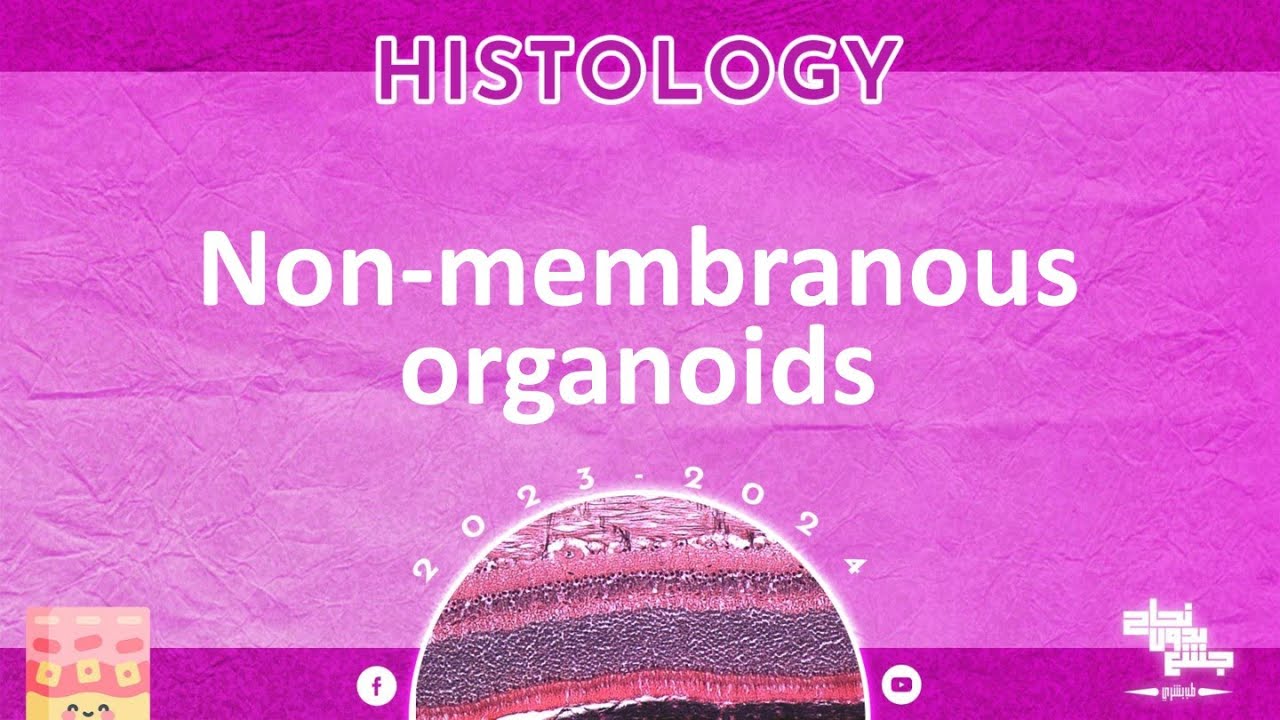 L5, Non membranous organelles 1, Histology