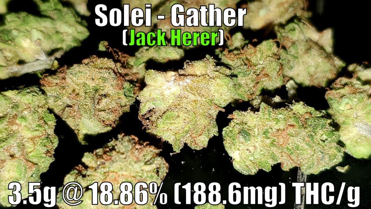 Solei - Gather (Jack Herer) Unboxing Review - 3.5g @ 18.86% (188.6mg) THC/g (+Extreme Closeups)