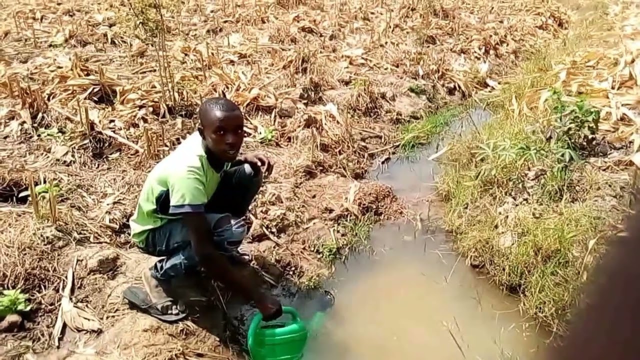Twasuye umuhinzi uhinga urusenda mukarere ka nyagatare