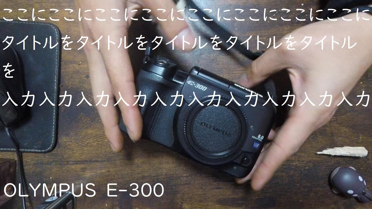 OLYMPUS E-300 というヘンテコカメラについての動画 スチルとうろつき #13