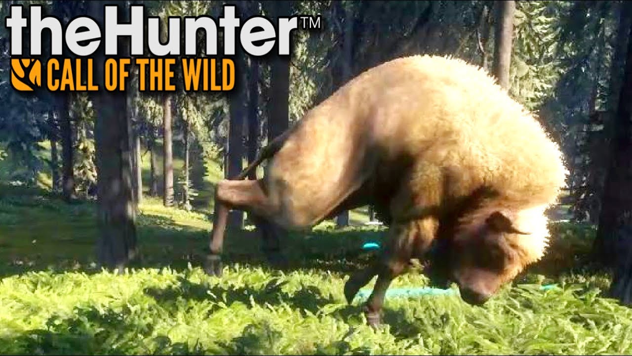 Żubry mnie atakują | theHunter: Call of the Wild (#6)