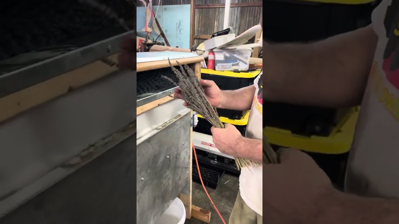 Lavender debudding machine
