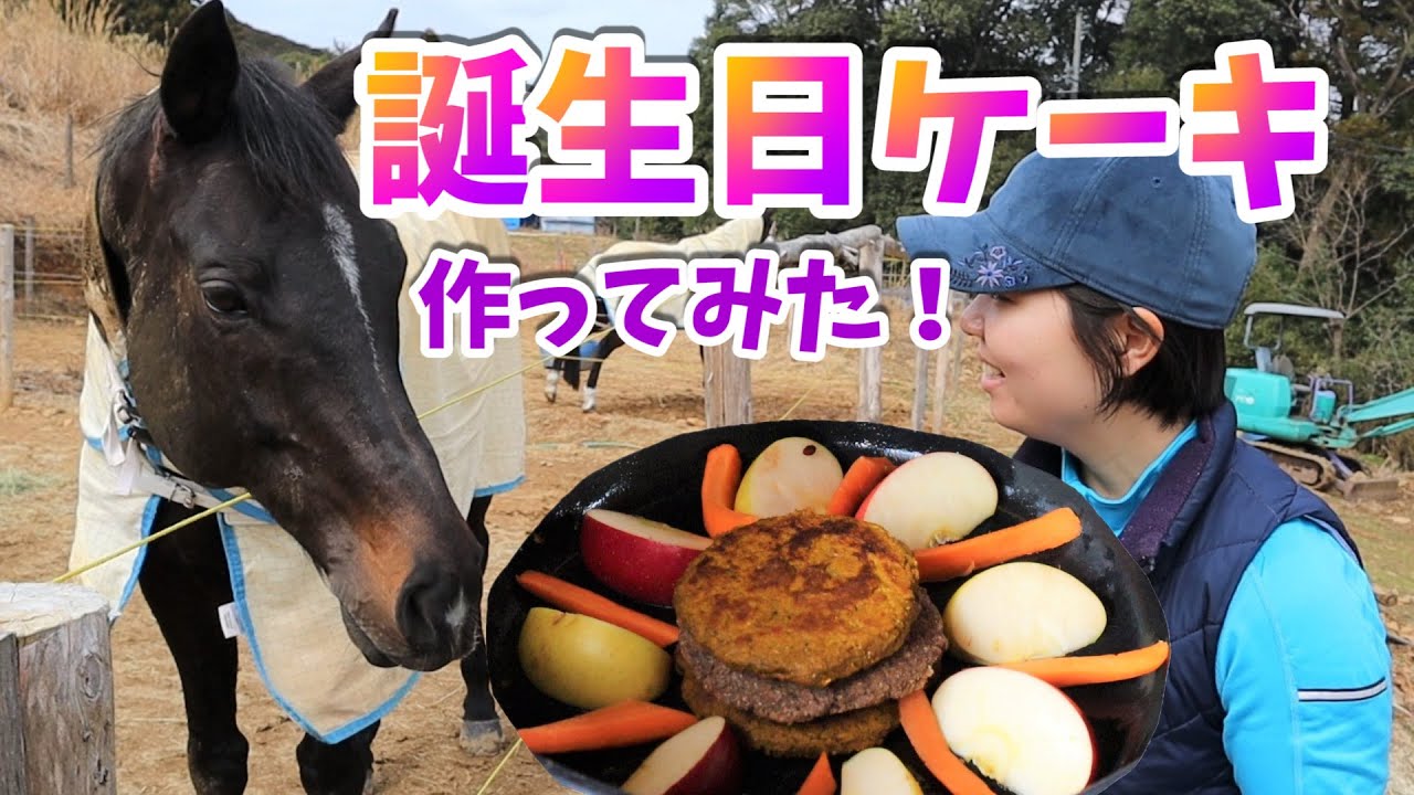 馬たちに誕生日ケーキを焼いたよ！～Yuri's Kitchen～