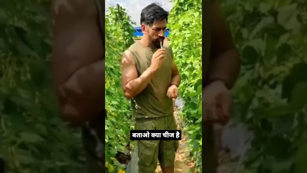 Ms Dhoni Cheking His Organic Farming Vegetables #Msdhoni #Shorts