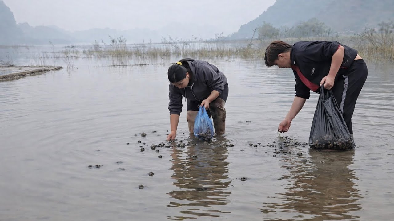 Rural Life: Collecting Snails for the Duc