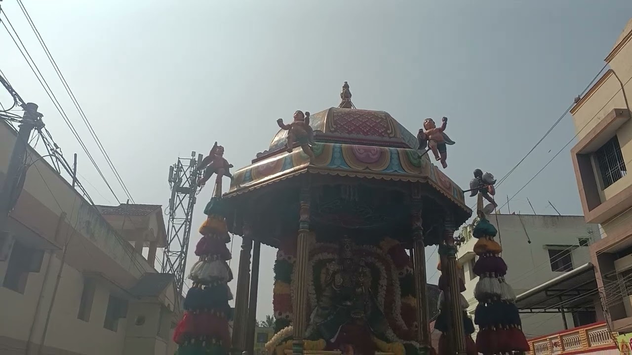 ஶ்ரீ ஆதி வராஹகப் பெருமாள் மாசி மகம் பெருவிழா தேர் வீதியுலா 