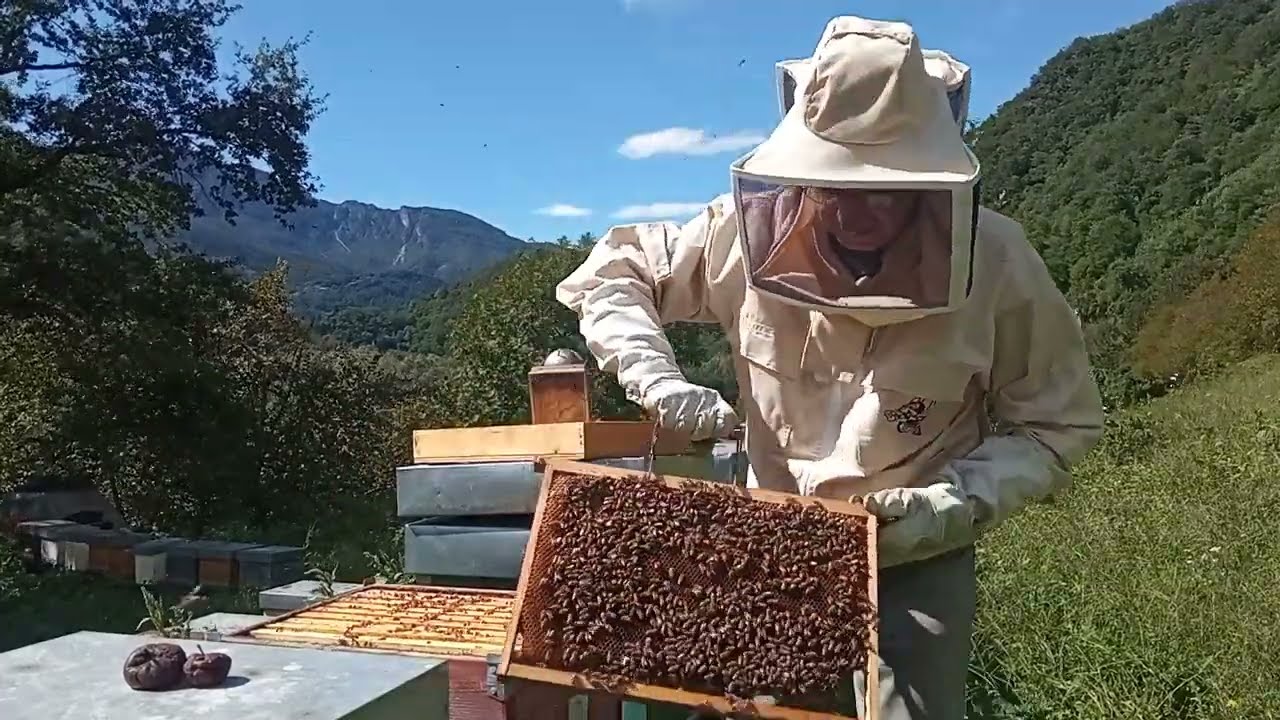Strategie per un buon invernamento. Parte 1