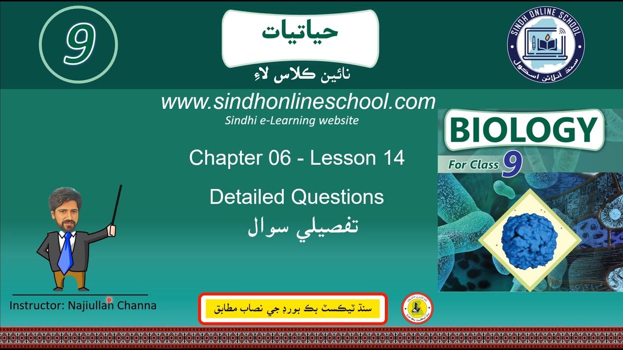 Detailed questions | Biology Class 9 | Chapter 06 | Lecture 14 | Sindh Online School