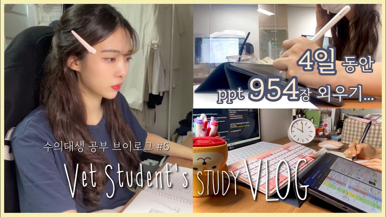 Eng) 수의대생 시험기간 vlog | 시험기간 루틴🕖 | 열품타로 공부하기 | 공포의 수의바이러스학🦠 | 공부자극