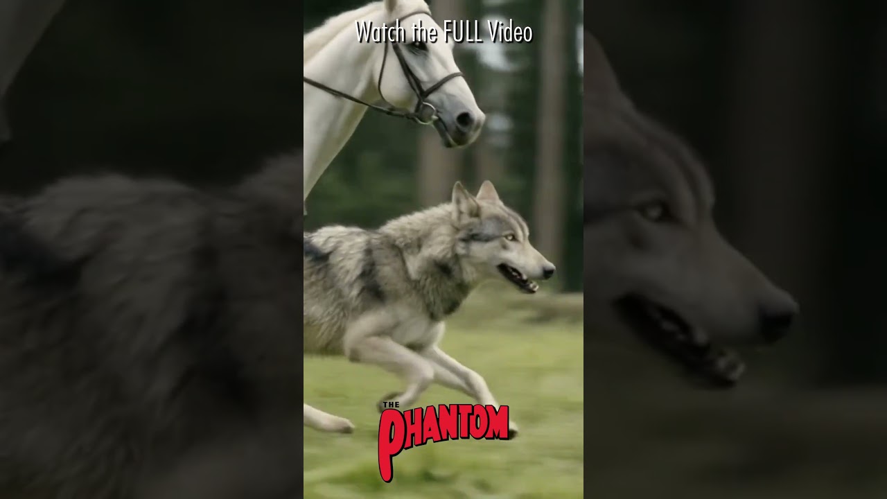The Phantom   In Action Teaser 2 