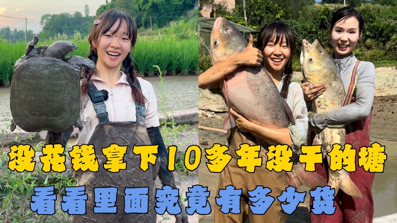 幺妹没花钱拿下深山里10多年没干的鱼塘，看看里面究竟有多少货？