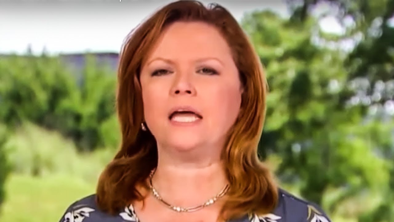 Horrible MSNBC Moment Proves That Corporate Media Is In Ruins