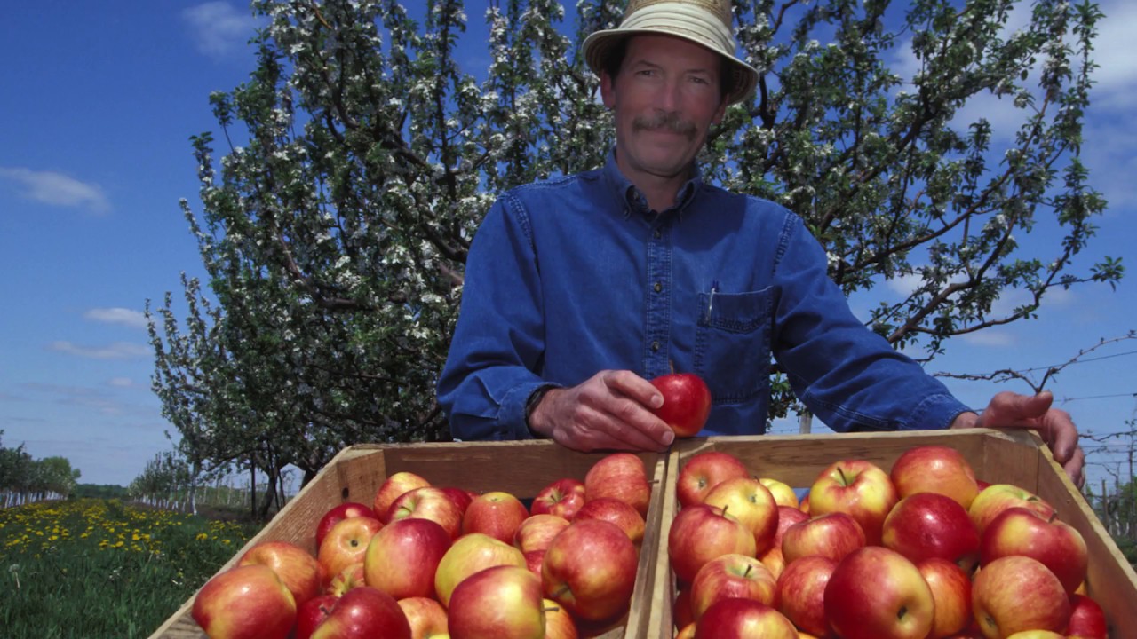 Breeding Apples at the University of Minnesota&mdash;FGNtv