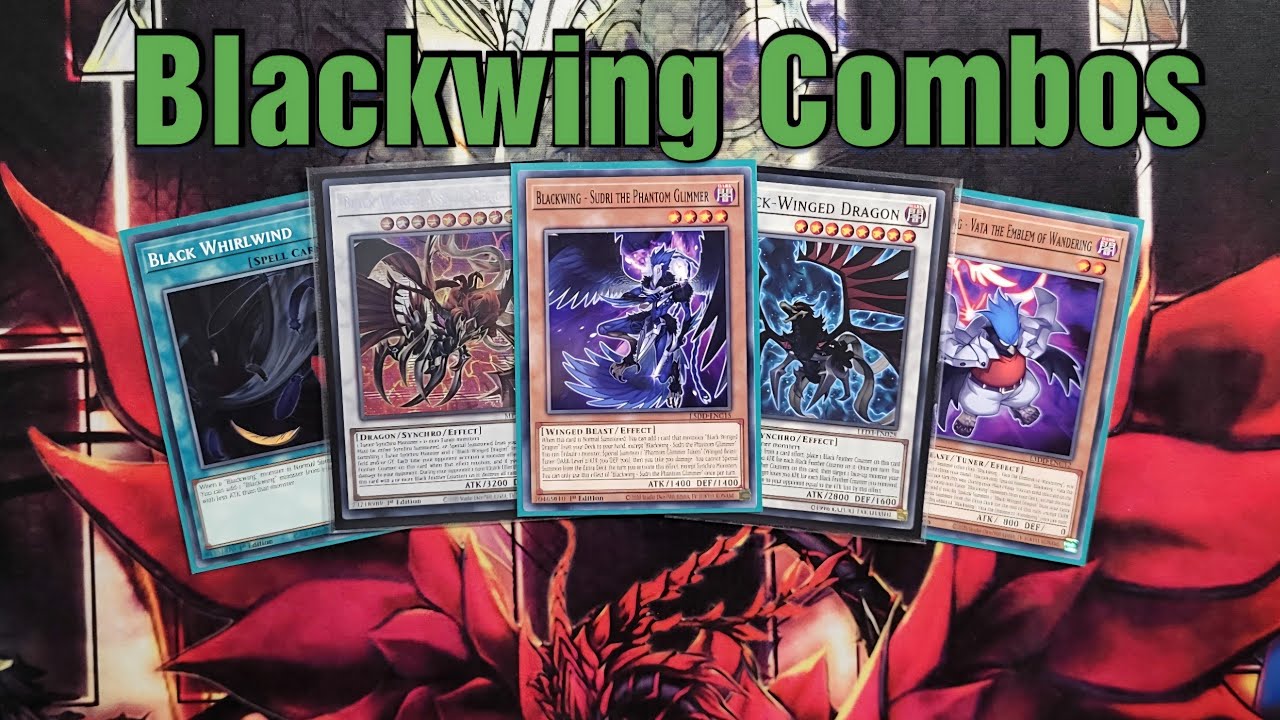 Комбинации Yu-Gi-Oh Blackwing