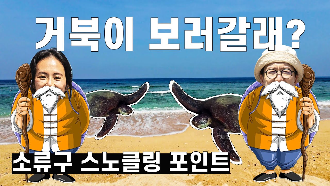 🇹🇼 대만 거북이랑 소류구 자유 스노클링! (업체❌) 🐢 Liuqiu 琉球