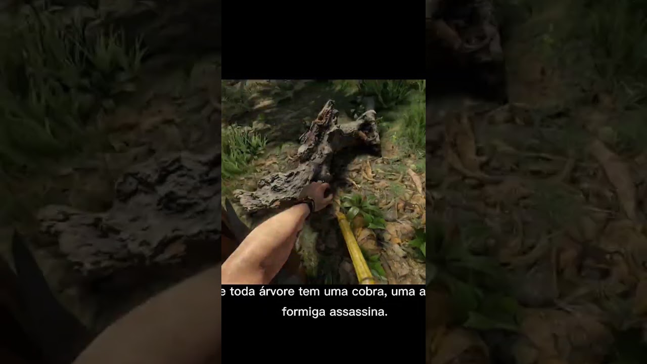 Dicas para quem est&aacute; come&ccedil;ando no Green hell 🌲🌴 #greenhell #survival #game #dicas