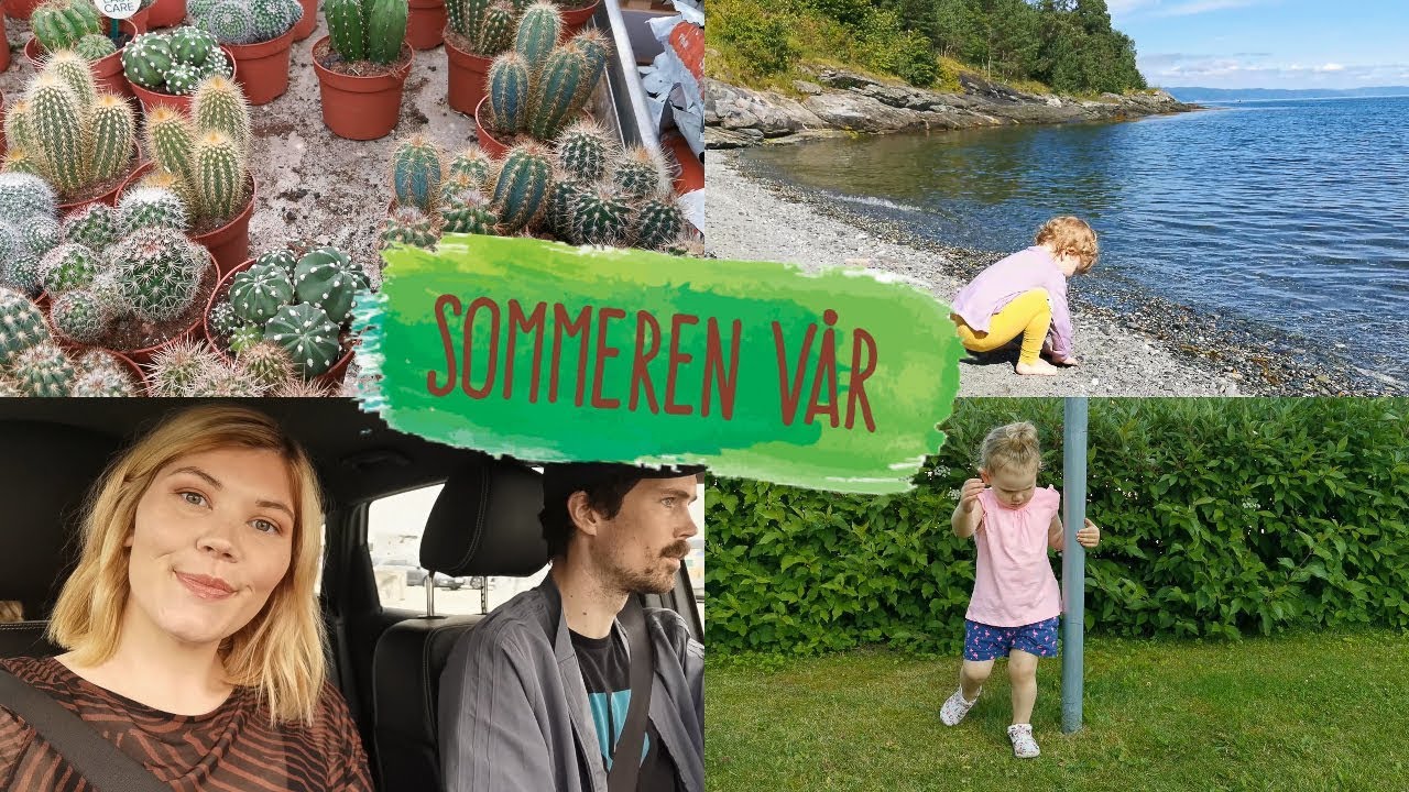 LITT AV SOMMEREN VÅR