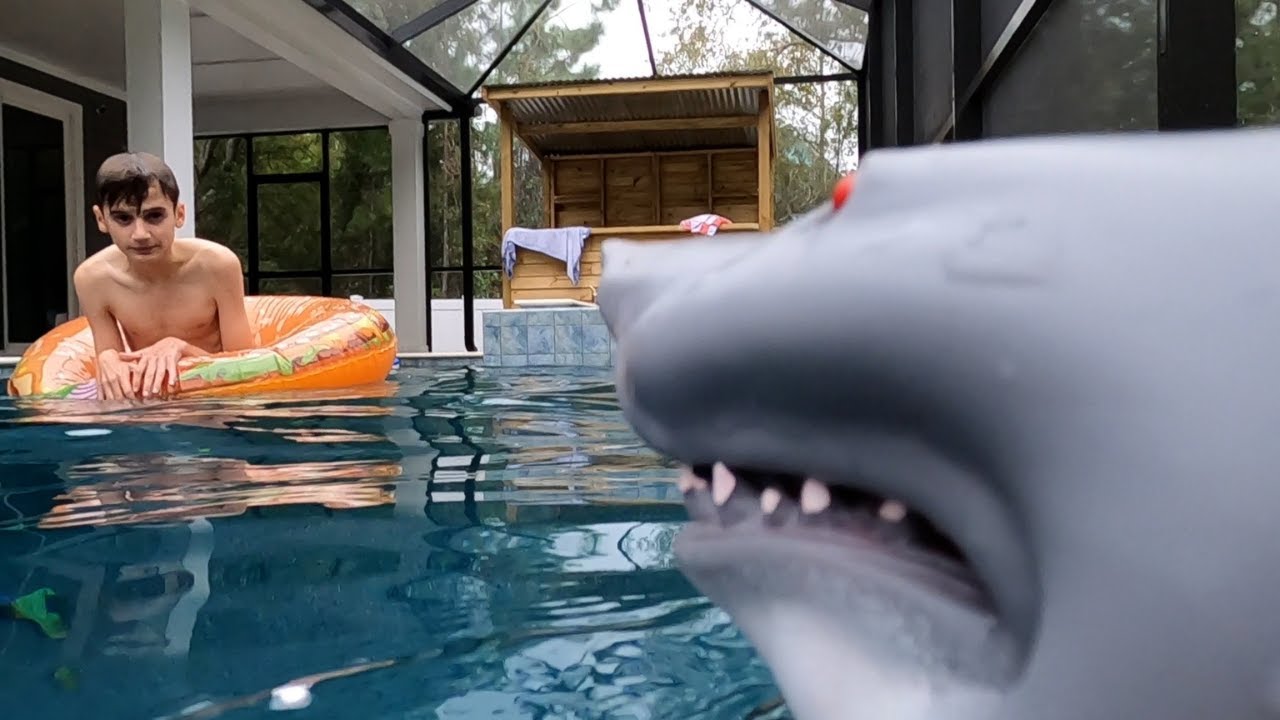 Pool JAWS - Part I Attack of the Pool Shark