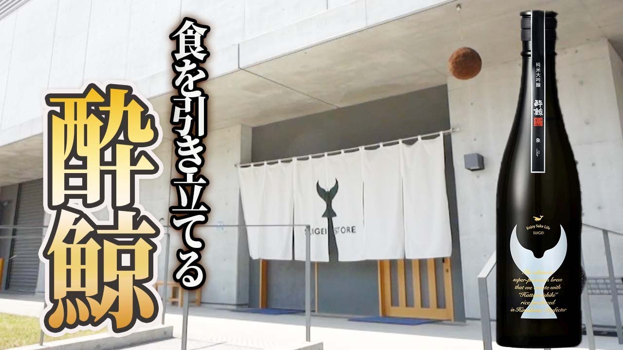 酔鯨を造る酔鯨酒造で酒蔵見学【高知県の日本酒】
