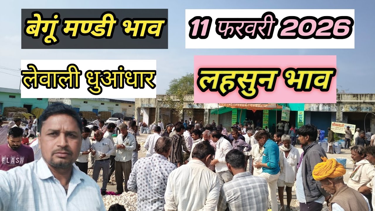 11 फरवरी 2026 | लहसुन लेवाली धुआंधार | बेगूं मण्डी भाव