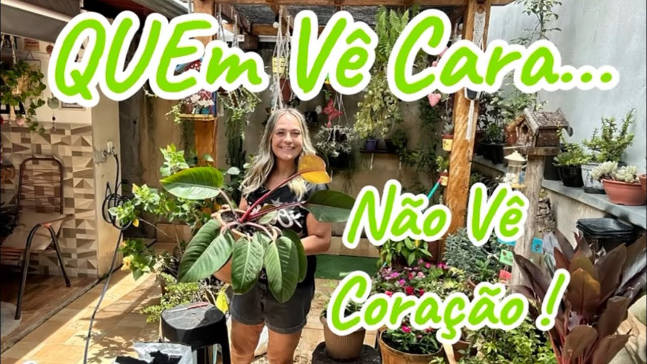 APESAR DA FACHADA  SIMPLES TODO MUNDO SE SURPREENDE AO ENTRAR NA CASA E SE DEPARAR COM O JARDIM 🪴🌹🌻🪴