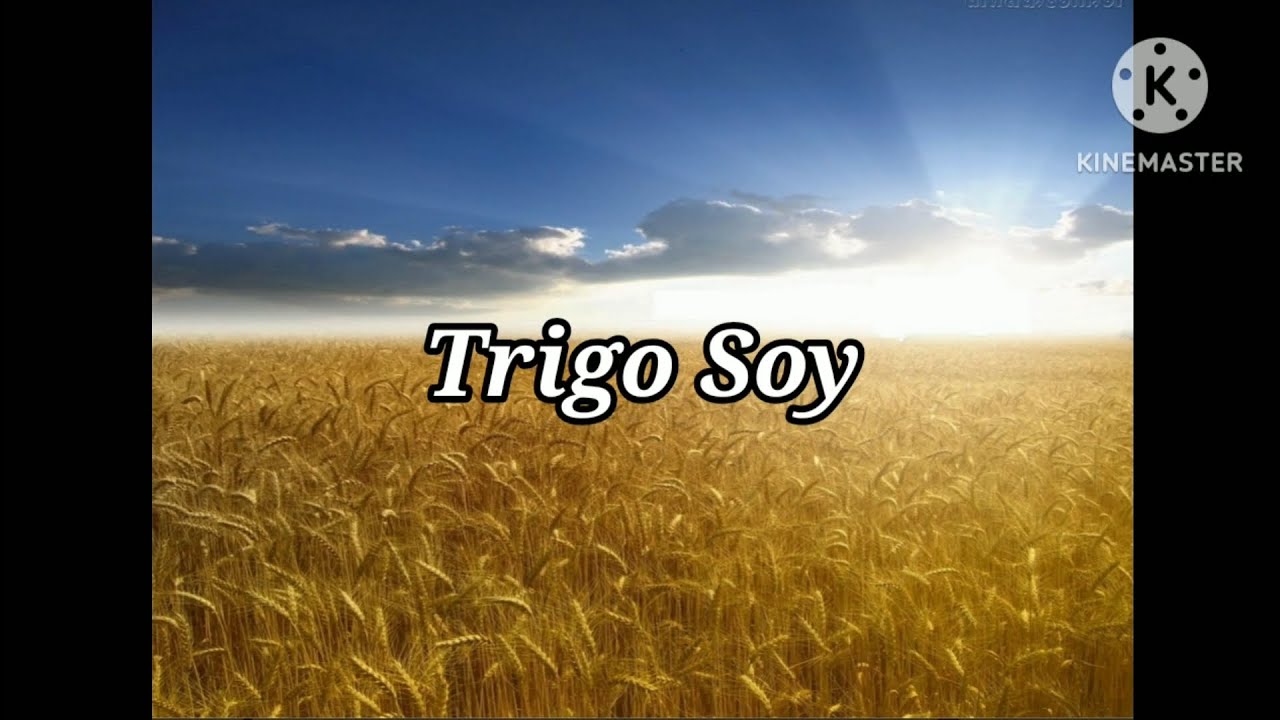 Trigo Soy (LETRA) | DÚO NOÉ Y RUTH CAMPOS