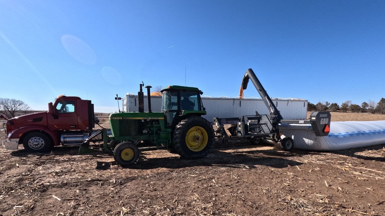 Unloading Grain Bags