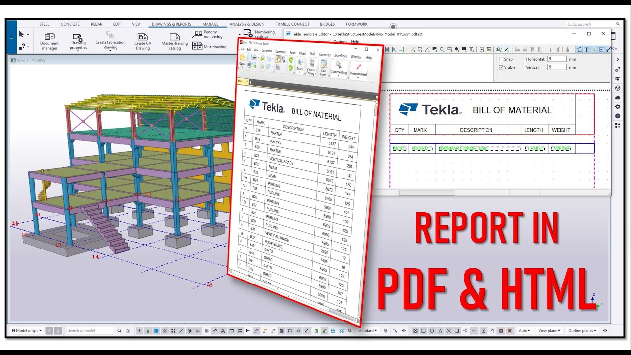 How to Create Report in PDF/HTML Format?