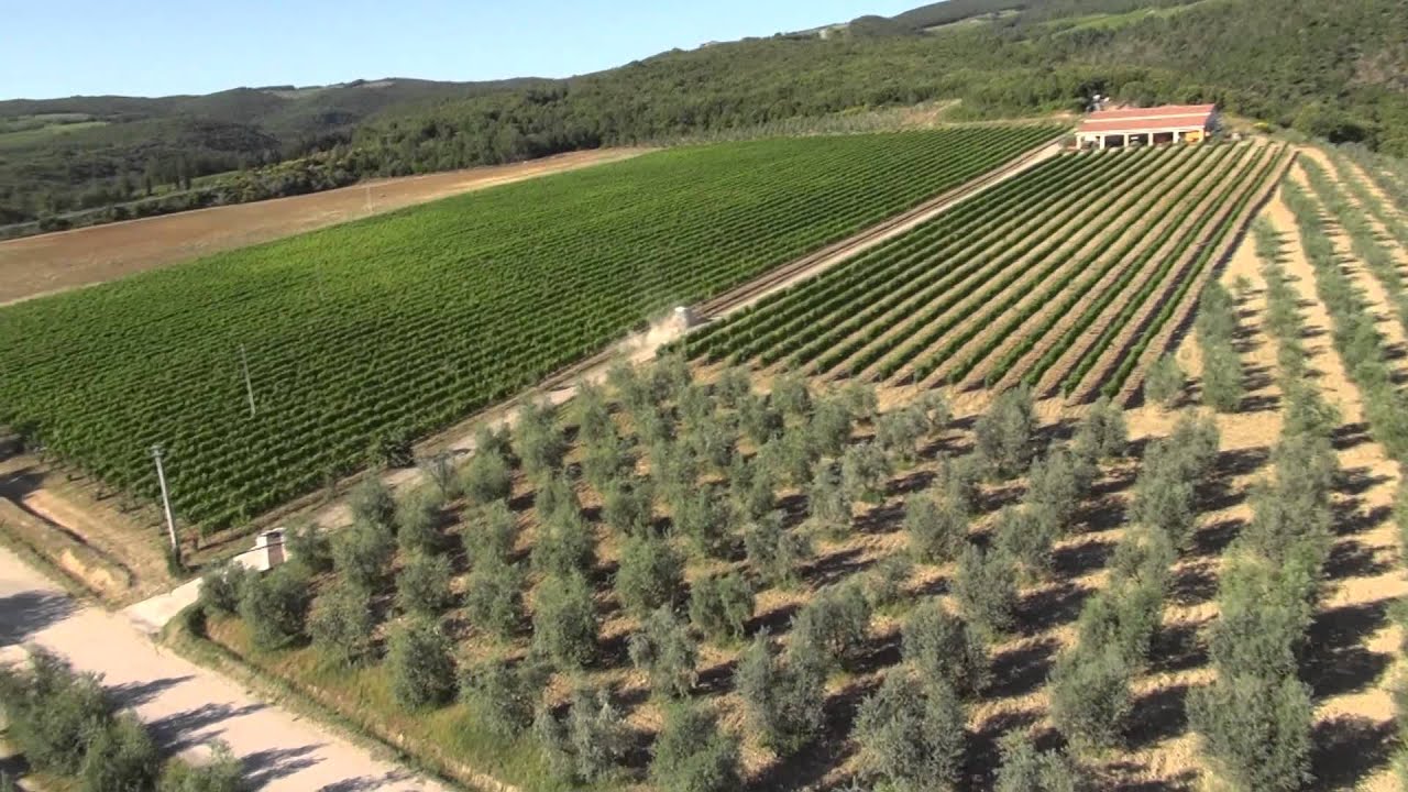 RIPRESE AEREE CON DRONE - CAPRILI MONTALCINO
