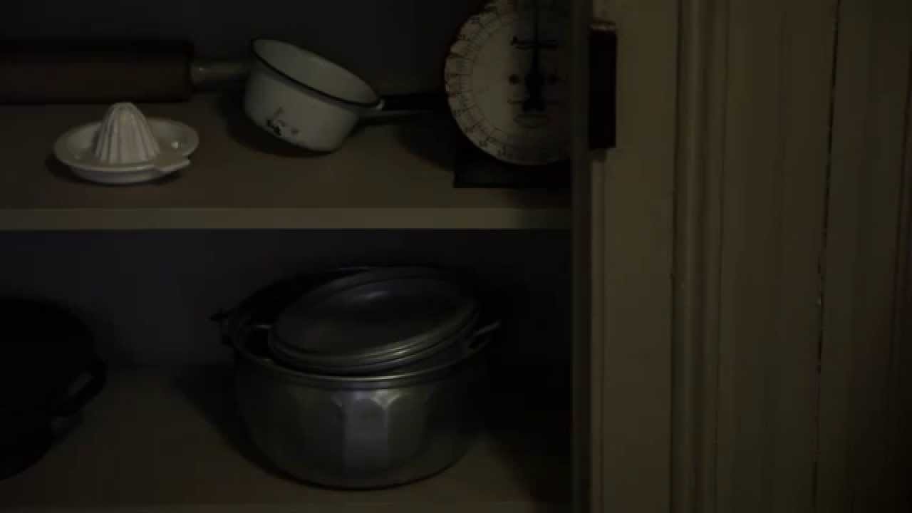 David Williams' Pantry: Weeksville Oral Histories