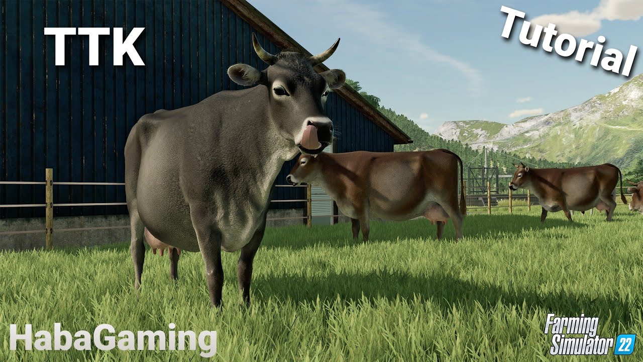 Szarvasmarha tartás /Farming Simulator 22
