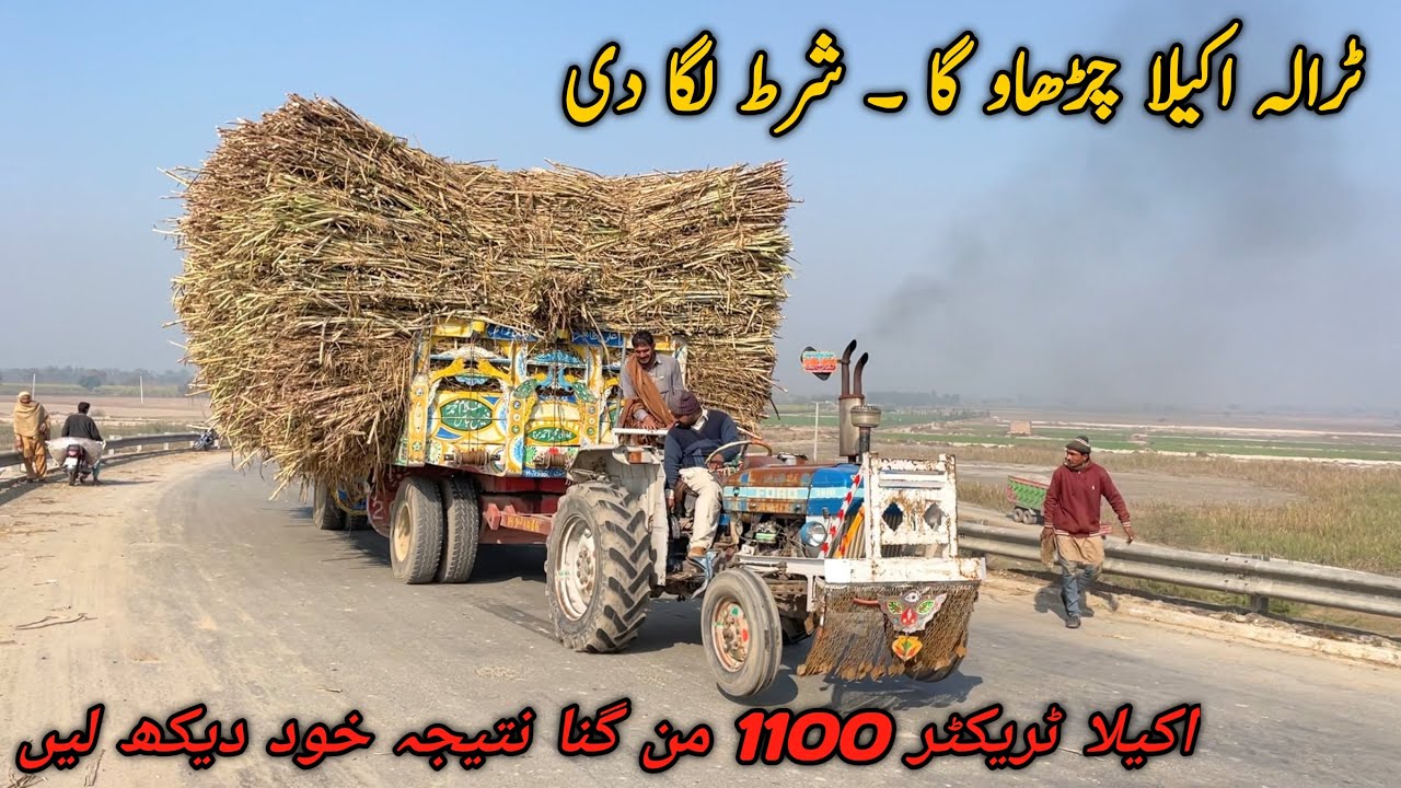 Well Done Ford 3610 Only 49HP Tractor Pull 45 Tonnes Sugarcane at Bridge