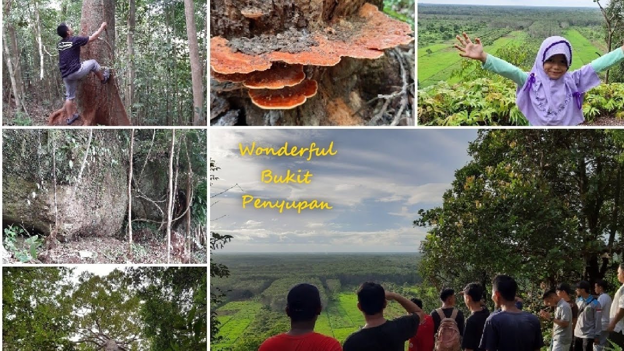 Pesona Bukit Penyupan di Batu Layar, Sendoyan (Survei Pengembangan Destinasi Wisata Bukit Penyupan)