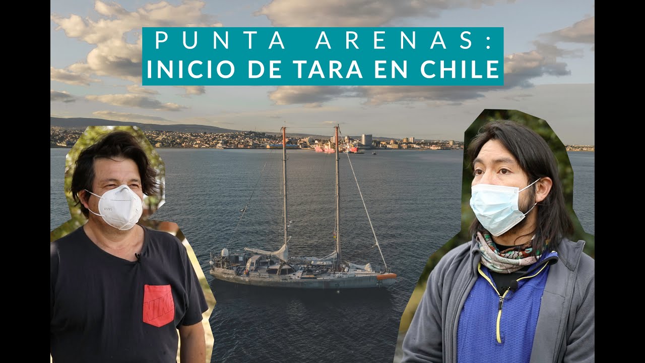 Punta Arenas: inicio de TARA en Chile