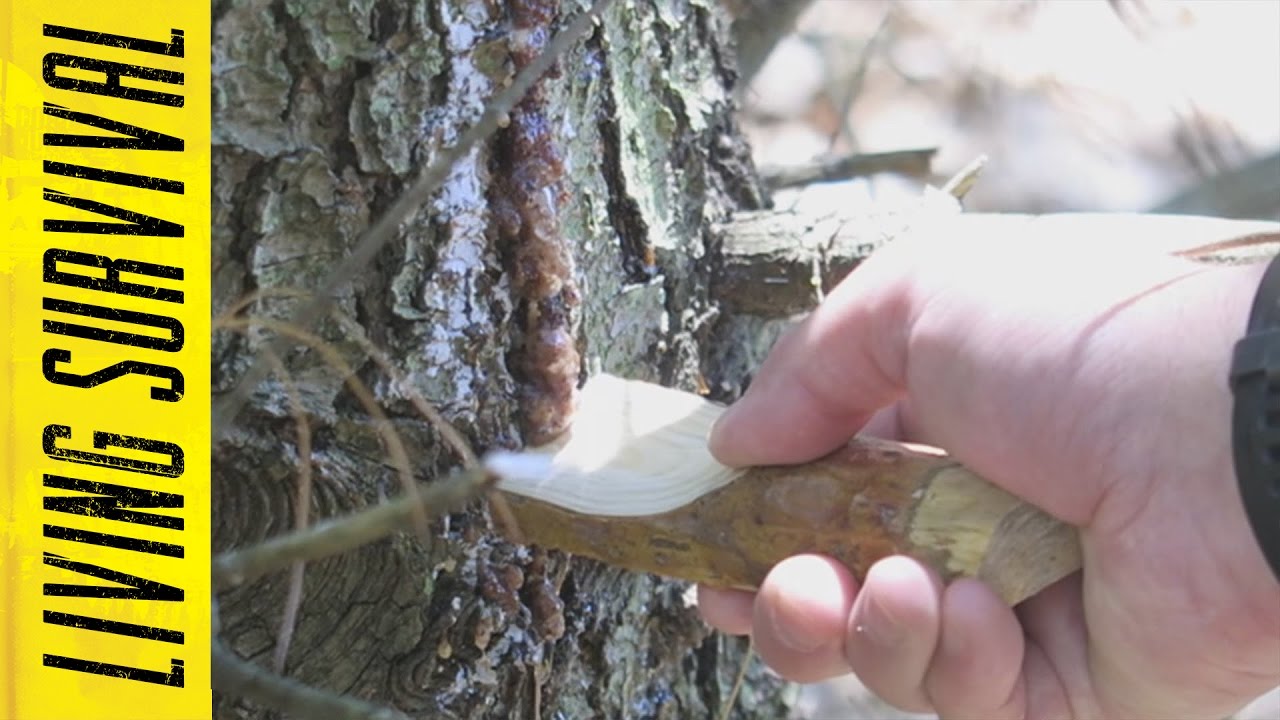 Lost or Stranded Basic Survival w/ Kullcraven Bushcraft