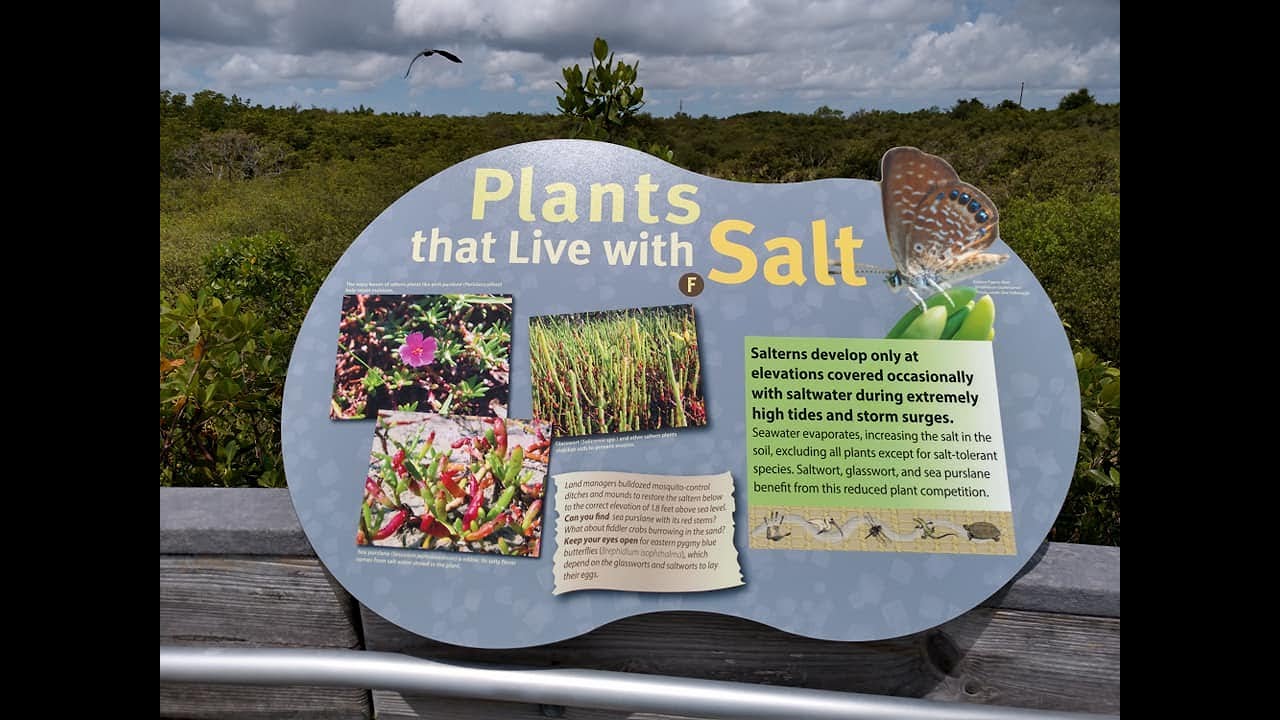 New Interpretive Trail Signs