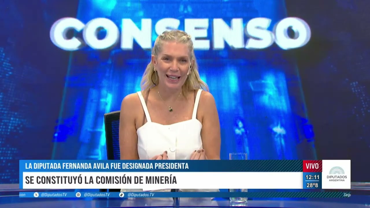 DTV Consenso con Melina Fleiderman - Programa 01/04/2026