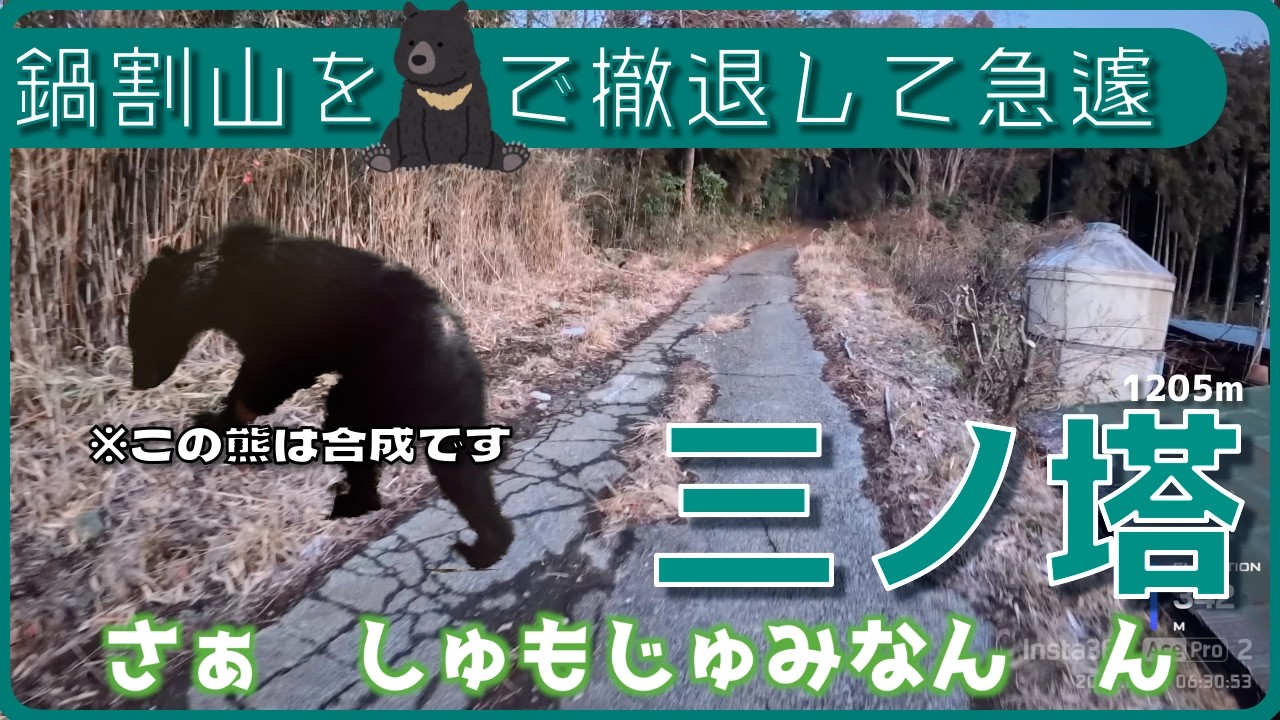 鍋割山に登り始めたけど🧸熊が出たそうなので引き返して【三ノ塔】